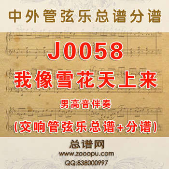 J0058.我像雪花天上来 D调伴奏可移调 管弦乐总谱+分谱