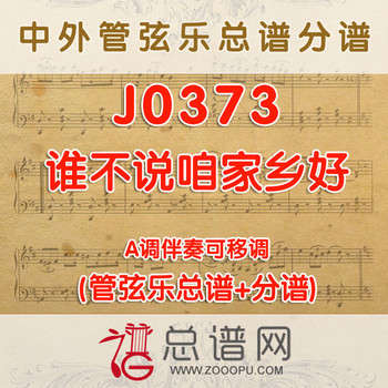 J0373.谁不说咱家乡好 A调伴奏可移调 管弦乐总谱+分谱