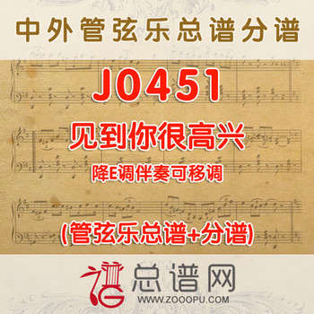 J0451.见到你很高兴 降E调伴奏可移调 管弦乐总谱+分谱