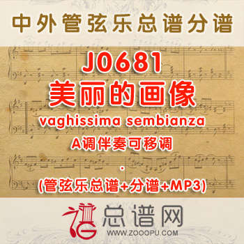 J0681.美丽的画像vaghissima sembianza A调伴奏可移调 管弦乐总谱+分谱