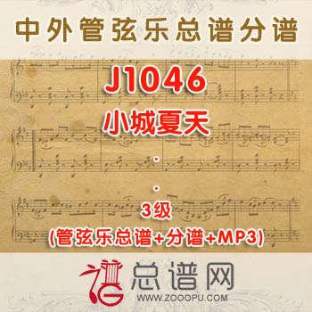 J1046.小城夏天 3级 管弦乐总谱+分谱