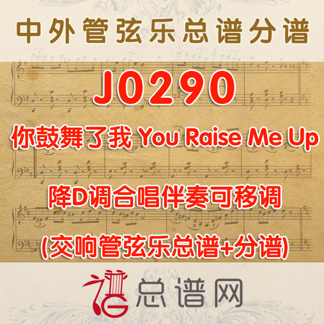 J0290.你鼓舞了我 You Raise Me Up 降D调合唱伴奏可移调 管弦乐总谱+分谱