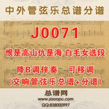 J0071.《白毛女》选段《恨是高山仇是海》 降B调伴奏可移调 管弦乐总谱+分谱