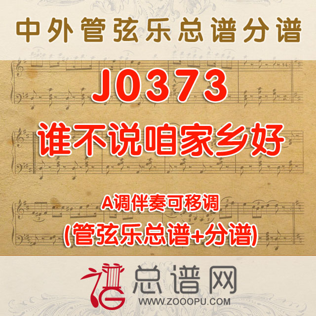 J0373.谁不说咱家乡好 A调伴奏可移调 管弦乐总谱+分谱