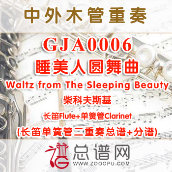 GJA0006.睡美人圆舞曲Waltz from The Sleeping Beauty柴科夫斯基 长笛单簧管总谱+分谱