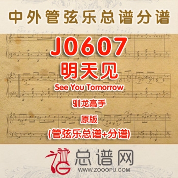 J0607.明天见See You Tomorrow 驯龙高手 原版 管弦乐总谱+分谱