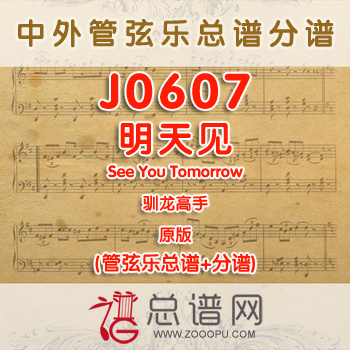 J0607.明天见See You Tomorrow 驯龙高手 原版 管弦乐总谱+分谱