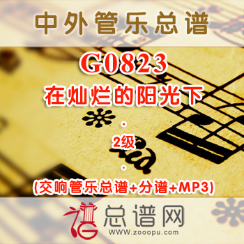 G0823.在灿烂的阳光下 2级 交响管乐总谱+分谱+MP3