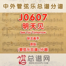 J0607.明天见See You Tomorrow 驯龙高手 原版 管弦乐总谱+分谱