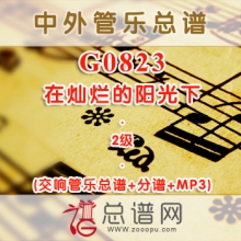 G0823.在灿烂的阳光下 2级 交响管乐总谱+分谱+MP3
