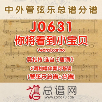 J0631.你将看到小宝贝Vedrai,carino莫扎特 选自《唐璜》C调独唱伴奏可移调  管弦乐总谱+分谱