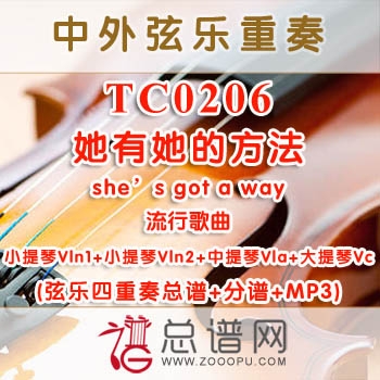 TC0206.她有她的方法she's got a way 流行歌曲 弦乐四重奏总谱+分谱+MP3
