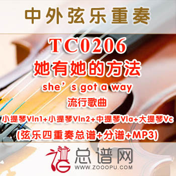 TC0206.她有她的方法she's got a way 流行歌曲 弦乐四重奏总谱+分谱+MP3