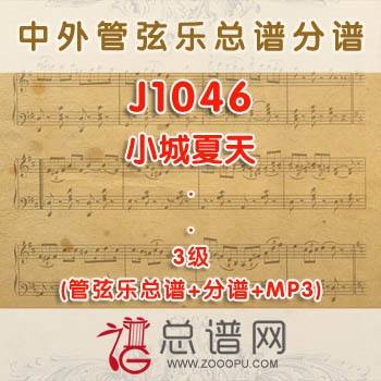 J1046.小城夏天 3级 管弦乐总谱+分谱