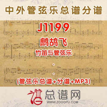 J1199.鹧鸪飞 竹笛与管弦乐总谱+分谱