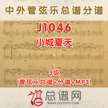 J1046.小城夏天 3级 管弦乐总谱+分谱