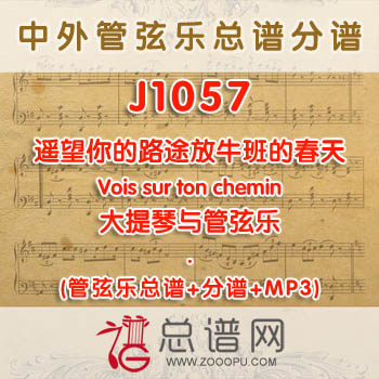 J1057.遥望你的路途Vois sur ton chemin放牛班的春天 大提琴与管弦乐总谱+分谱+MP3