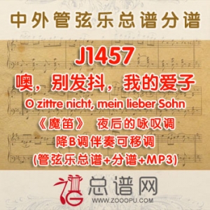 J1457.噢,别发抖,我的爱子O zittre nicht, mein lieber Sohn魔笛夜后的咏叹调 降B调伴奏可移调 管弦乐总谱+分谱+MP3 J1457.噢,别发抖,我的爱子O zittre nicht, mein lieber Sohn魔笛夜后的咏叹调 降B调伴奏可移调 管弦乐总谱+分谱+MP3