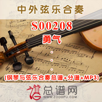 S00208.勇气 梁静茹 钢琴与弦乐合奏总谱+分谱+MP3 ￥80元