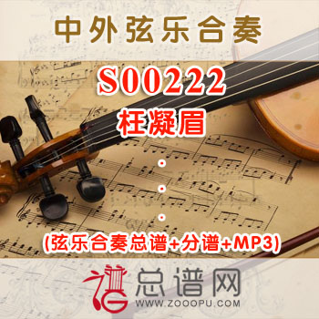 S00222.枉凝眉 弦乐合奏总谱+分谱+MP3 ¥120元